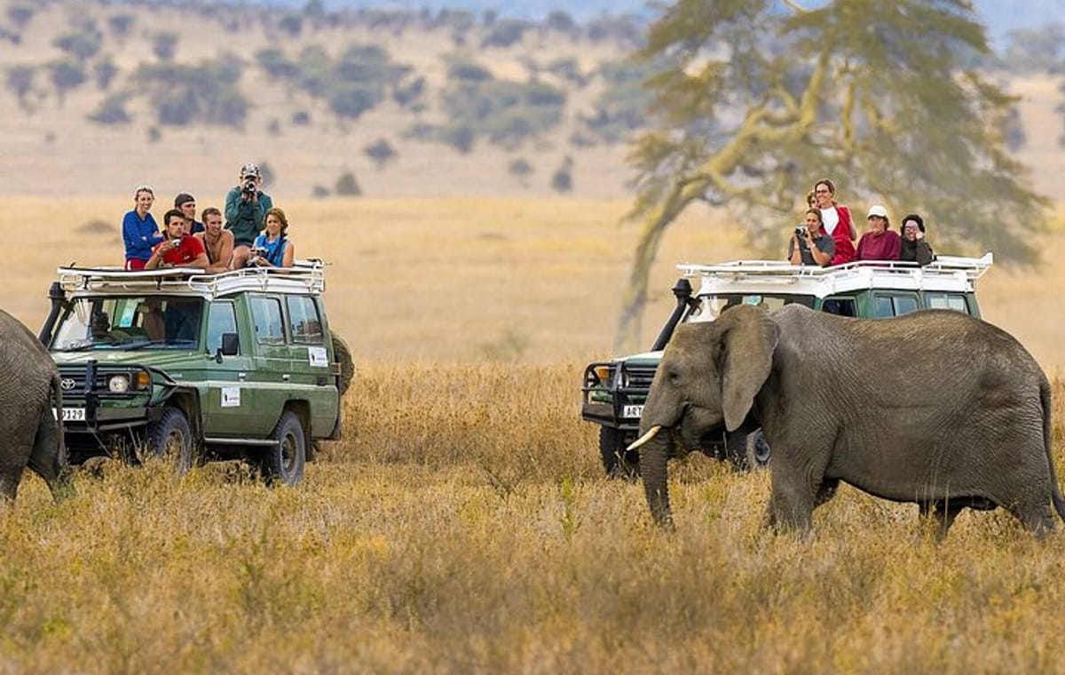5 Days Nairobi Amboseli Tsavo West and Tsavo East National Park