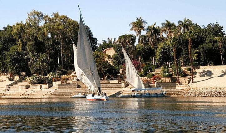 Aswan: The Iconic Botanical Garden & Felucca Ride on the Nile  Private Tour