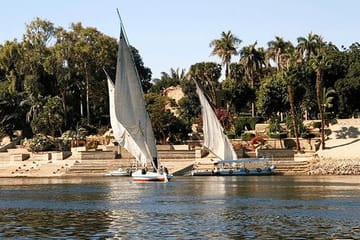 Felucca Ride and Botanical Garden Tour in Aswan