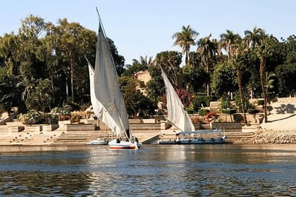 Aswan: The Iconic Botanical Garden & Felucca Ride on the Nile  Private Tour