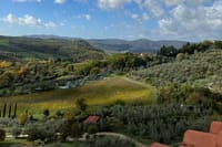 Wine Tastings and Visit to 3 Cellars in Chianti with Lunch&Transfer 3