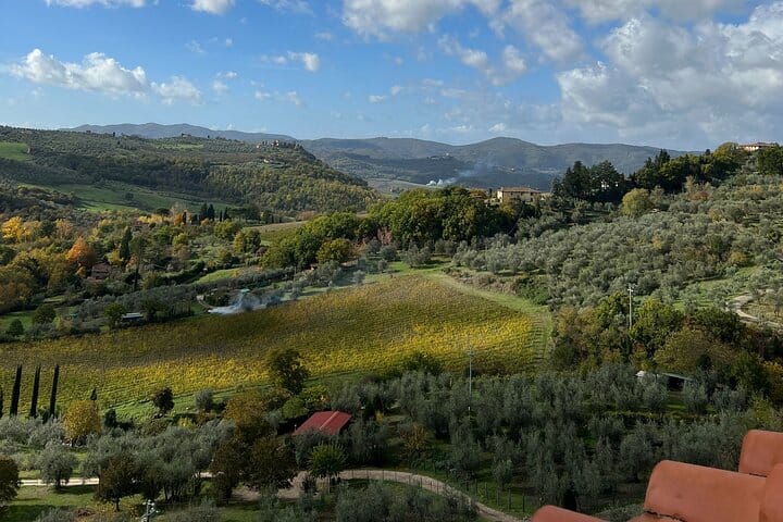 Wine Tastings and Visit to 3 Cellars in Chianti with Lunch&Transfer 3