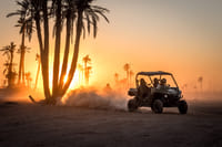 ½ Day : Buggy Adventure in Desert & Palms | Private & Luxury 2