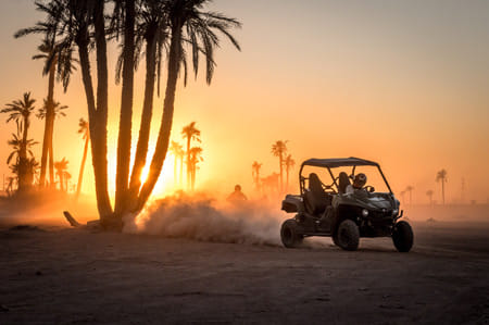 ½ Day : Buggy Adventure in Desert & Palms | Private & Luxury 2