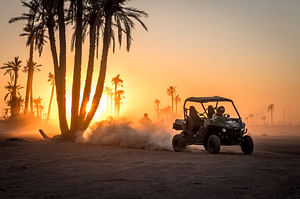 ½ Day : Buggy Adventure in Desert & Palms | Private & Luxury