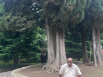 Private Kakheti Day Trip: Bodbe, Sighnaghi & Kvareli Wine Tasting