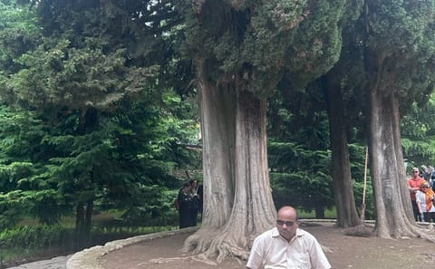Private Kakheti Day Trip: Bodbe, Sighnaghi & Kvareli Wine Tasting
