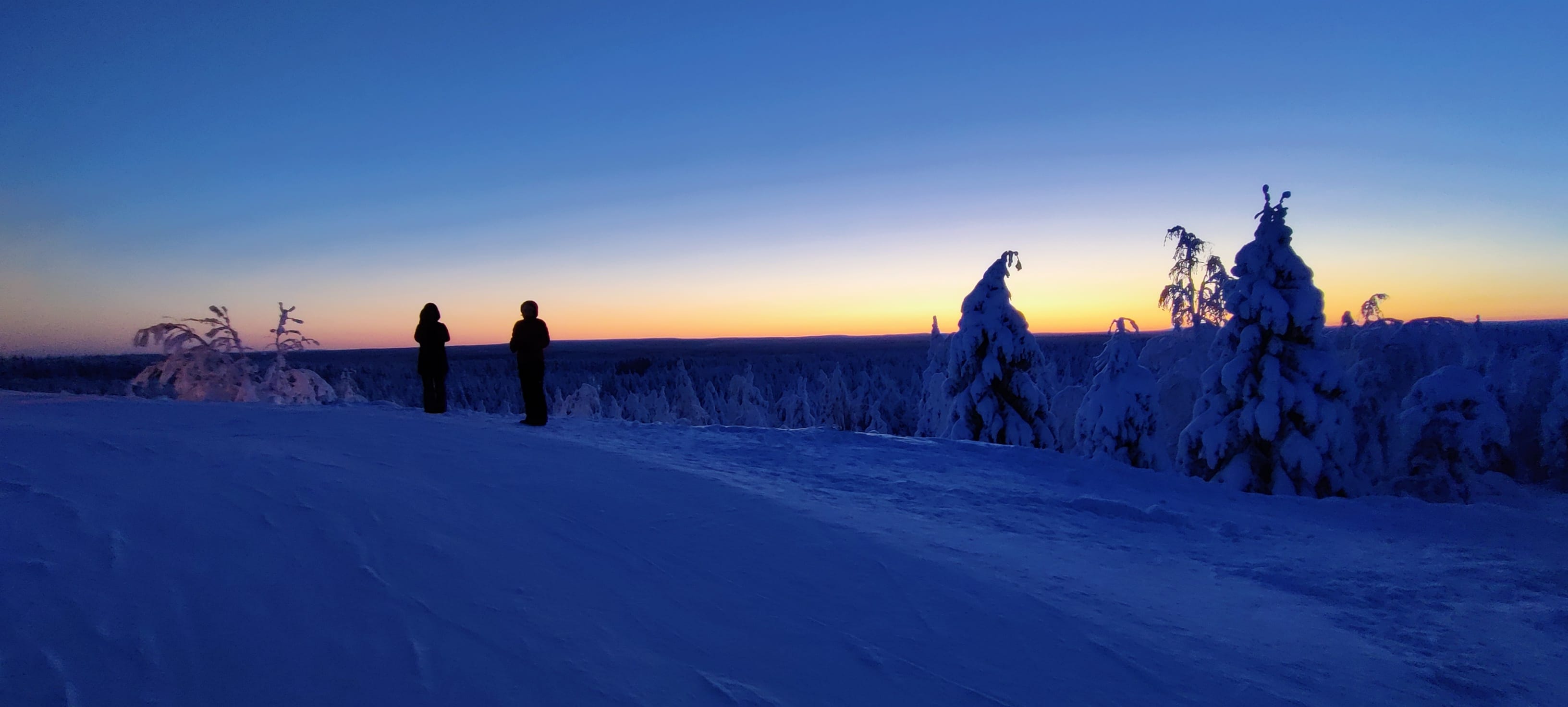 Lapland night snowshoe — Snowshoeing through snowy forest on a dark winter night.