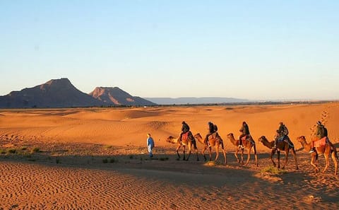 Private 5-Day Sahara Tour from Marrakech to Merzouga