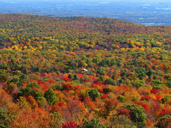 Private Hudson Valley Fall Foliage Helicopter Charter from Manhattan for up to 5 People photo 2