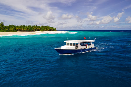 1- Shark Dive Fuvahmulah – 2 Nights & 3 Days