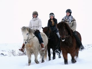 Lava Tour - Horseback Riding through the Lava Fields, photo 14