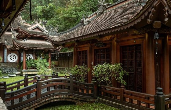 Ninh Binh Day Tour: Dia Tang Phi Lai, Cay Thi Pagoda & Trang An