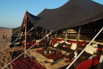 Quad Biking and Camel Ride Adventure in Sharm El-Sheikh