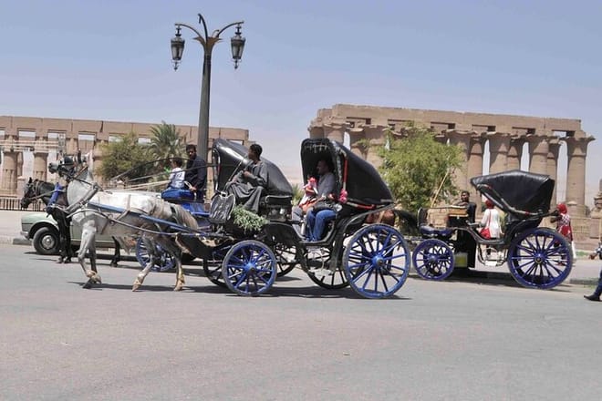 City Tour By Horse Carriage One Hour in Luxor - Luxor
