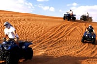 Dubai: Quad & ATV Bike, Red Dune Desert and Safari Adventure 8