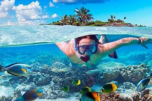 Full package Dune Buggy and Snorkeling Cruise