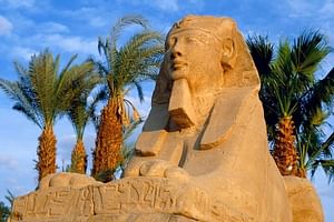 Egypt Best Holidays to Cairo, Abu Simbel, Aswan & Luxor 
