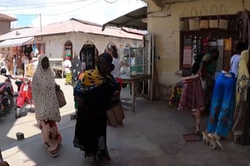 Zanzibar Cultural and Turtle Experience Tour