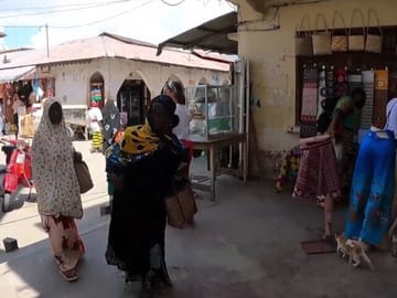 Zanzibar Cultural Tour and Turtle Conservation Experience