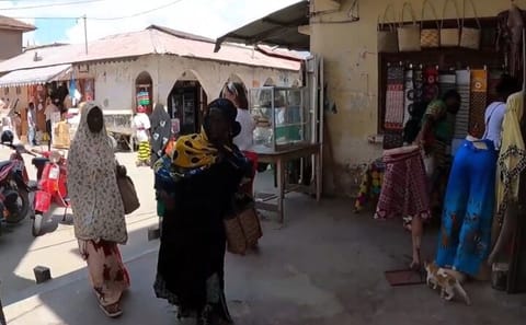 Zanzibar Cultural Tour and Turtle Conservation Experience