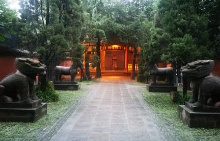 Chengdu Cultural Sites and Museum Tour with Private Transport
