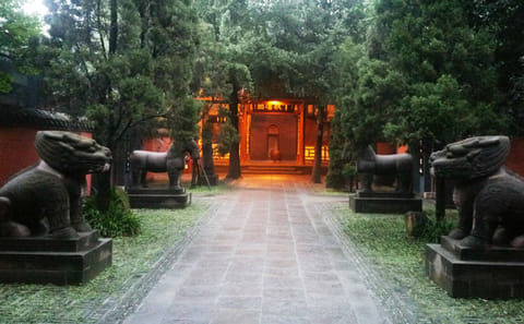 Chengdu Cultural Sites and Museum Tour with Private Transport