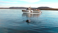 Whale Watching & Whales of Iceland Exhibition 10