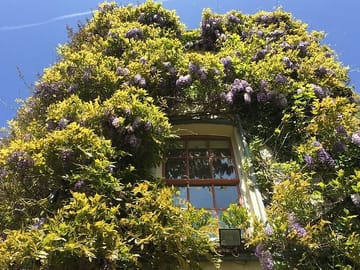Private Day Trip to Darwin's Down House from London