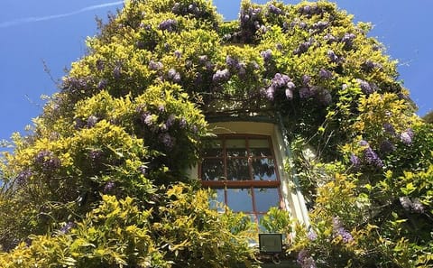 Private Day Trip to Darwin's Down House from London