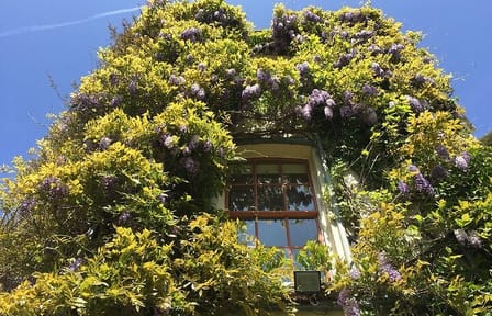 Private Day Trip to Darwin's Down House from London