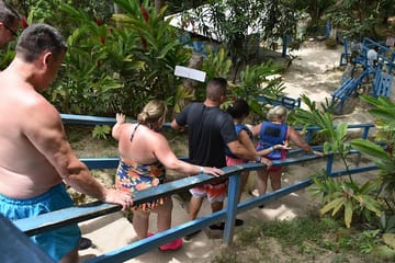 Blue Hole and Dunn's River Falls Tour from Falmouth