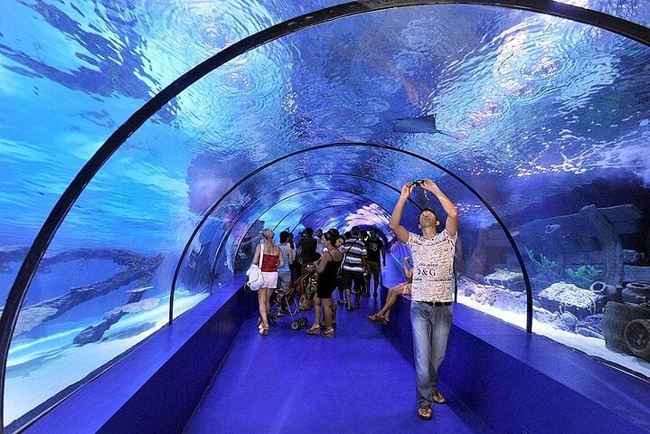 Antalya Aquarium Adventure: Roundtrip Transfer & Unique Experiences from Side