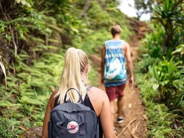 Four-Day Jungle Expedition in Manu National Park, Cusco