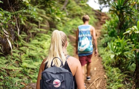 Four-Day Jungle Expedition in Manu National Park, Cusco