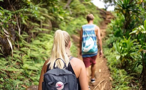Four-Day Jungle Expedition in Manu National Park, Cusco