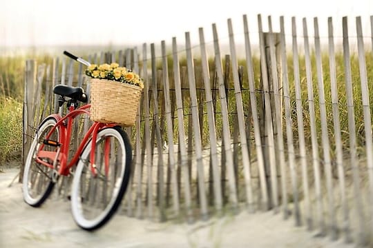 Lido Bike Tour: with a Local on the Island of Cinema