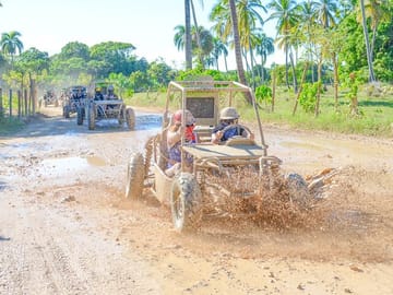 Feel the adrenaline as you drive your buggy between palm trees and thrilling trails