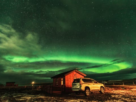 Northern Lights - Private Tour (1–6 passengers), photo 3