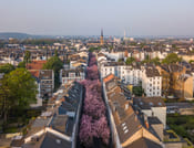 Bonn in 1 Day - Walking Tour - Audioguide in 7 languages 3