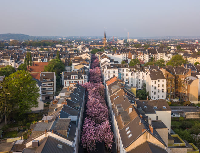 Bonn in 1 Day - Walking Tour - Audioguide in 7 languages photo 3