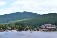 Full-Day Private Tour from Zurich to Lake Titisee Black Forest 7
