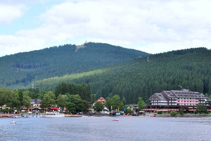 Full-Day Private Tour from Zurich to Lake Titisee Black Forest 7