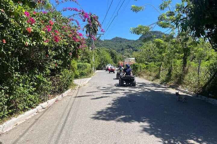 Damajagua Waterfalls and Monkey Private Van Tour