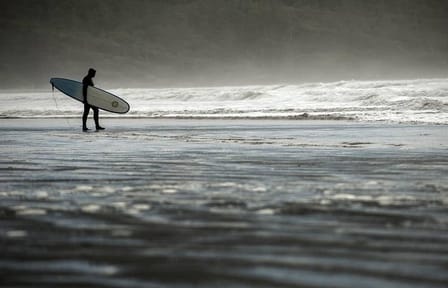 Vancouver to Nanaimo, Ucluelet, Tofino 2 Days Harbour City Tour Private