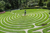 Town of Campos Do Jordão: The Brazilian Switzerland in a Full Day Private Tour 8