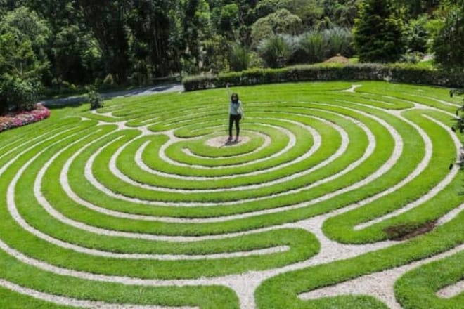 Town Of Campos Do Jordão: The Brazilian Switzerland In A Full Day Private Tour 8