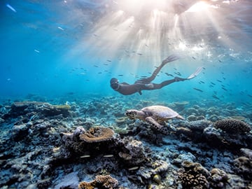 A sea turtle and freediver amidst vibrant coral reefs in the clear waters of Marsa Alam, Egypt