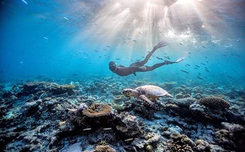Marsa Alam 8-Day Tour with Snorkeling and Relaxation