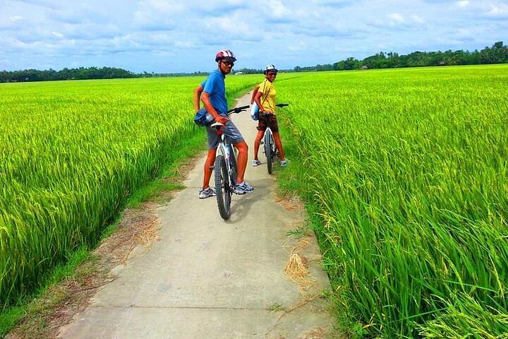 Hoi An Bike and Bite Culinary Adventure: Cook & Taste Local Delights